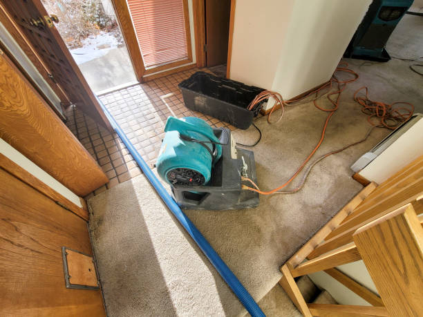 Best Flood restoration services  in Gloucester Courthouse, VA