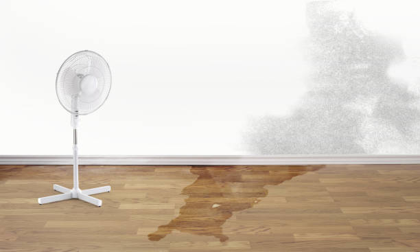 Best 24/7 water damage repair  in Gloucester Courthouse, VA