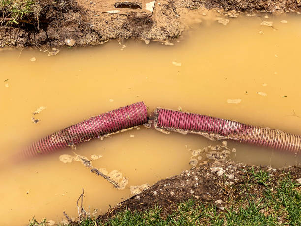 Best Water damage contractors near me  in Gloucester Courthouse, VA