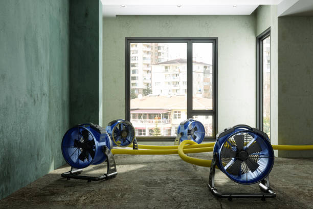 Best Basement water damage restoration  in Gloucester Courthouse, VA